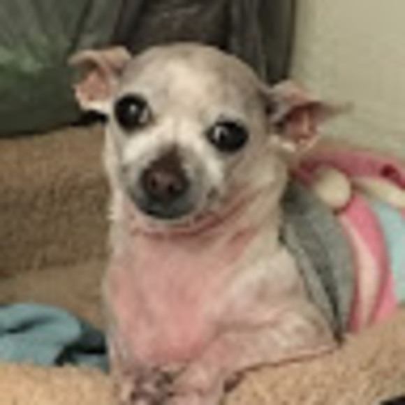 Meet your Posher, Laura - Picture 1 of 1